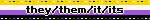 Blinkie with nonbinary flag background that says, 'they/them/it/its'.